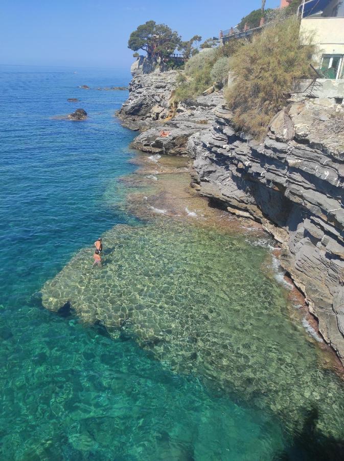 B&B La Taverna Di Mulinetti 렉코 외부 사진